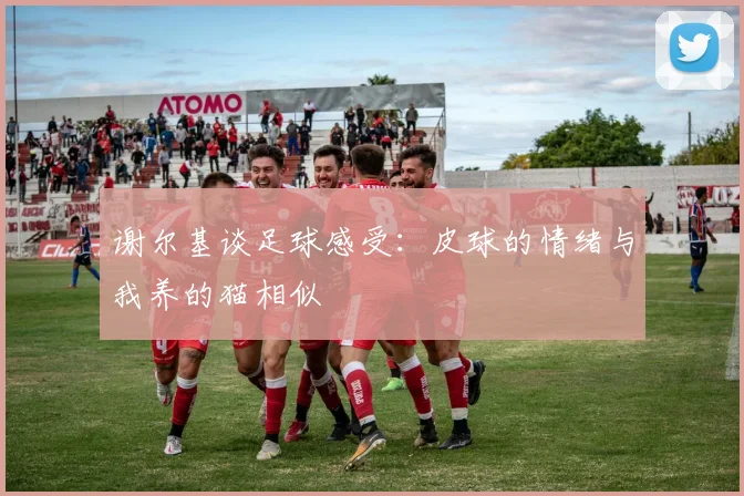 谢尔基谈足球感受：皮球的情绪与我养的猫相似